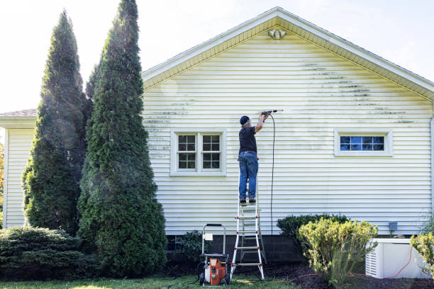 Best Roof Washing  in Dilworth, MN